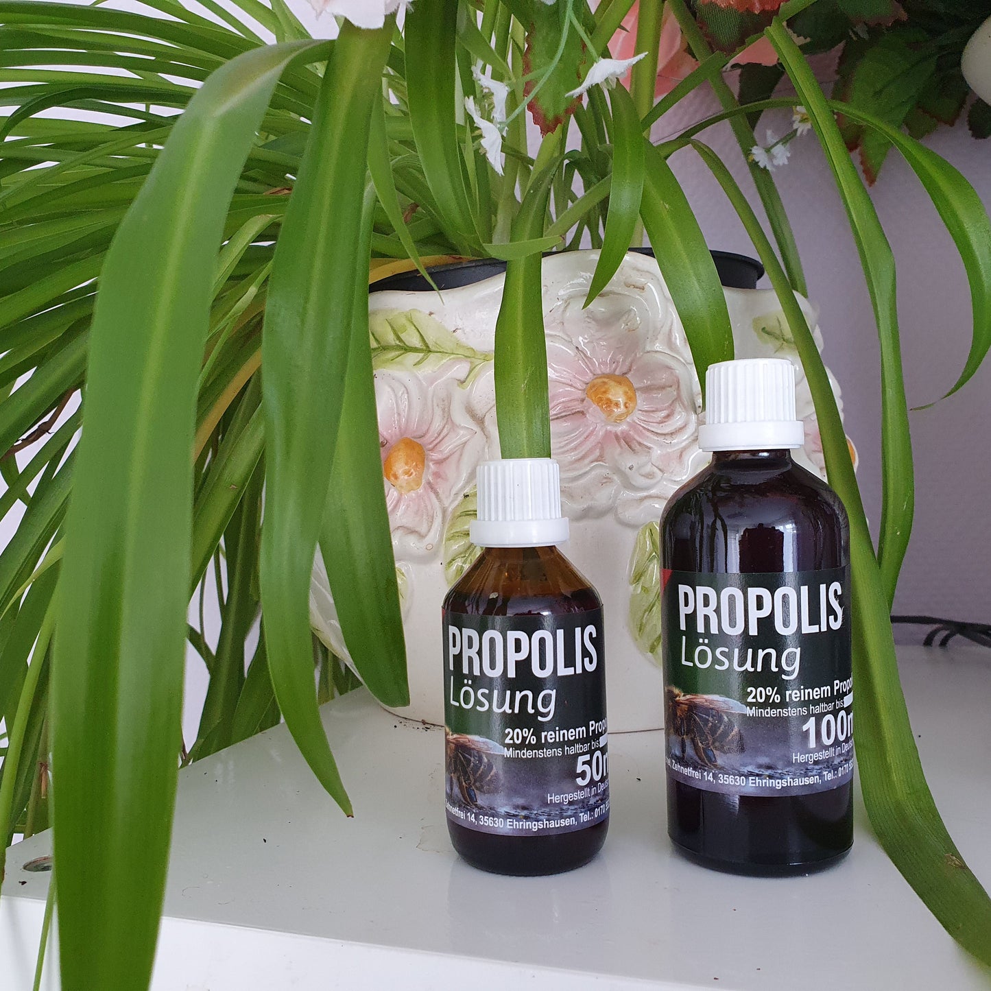 Propolis