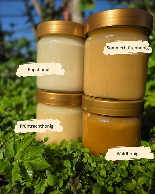 12er Karton Honig