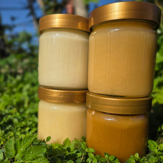 1er Karton Honig
