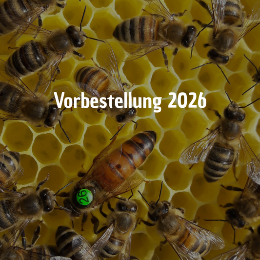 Buckfast  F1 Wirtschaftsköniginnen 2026