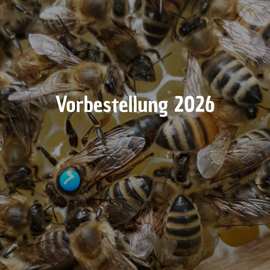 Carnica  F1 Wirtschaftsköniginnen 2026